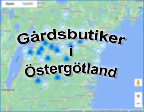 Kartvy över Östergötland med blå markörer som visar lägen för gårdsbutiker i regionen