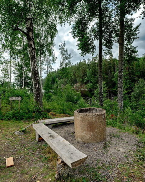 Grillplats vid Bjänleden med sittbänkar i trä och eldstad i betong, omgiven av björkar och grön skog nära sjön Bjän.