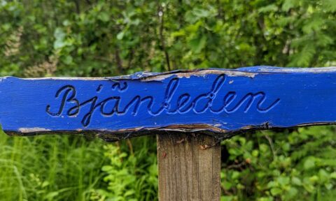 Blå träskylt med texten "Bjänleden" på en stolpe omgiven av frodig grön vegetation längs vandringsleden