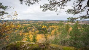 Höstvy från Hålebergets utsiktsplats i Motala med vidsträckt landskap i gult och grönt, inramad av tallar och mossig klippa