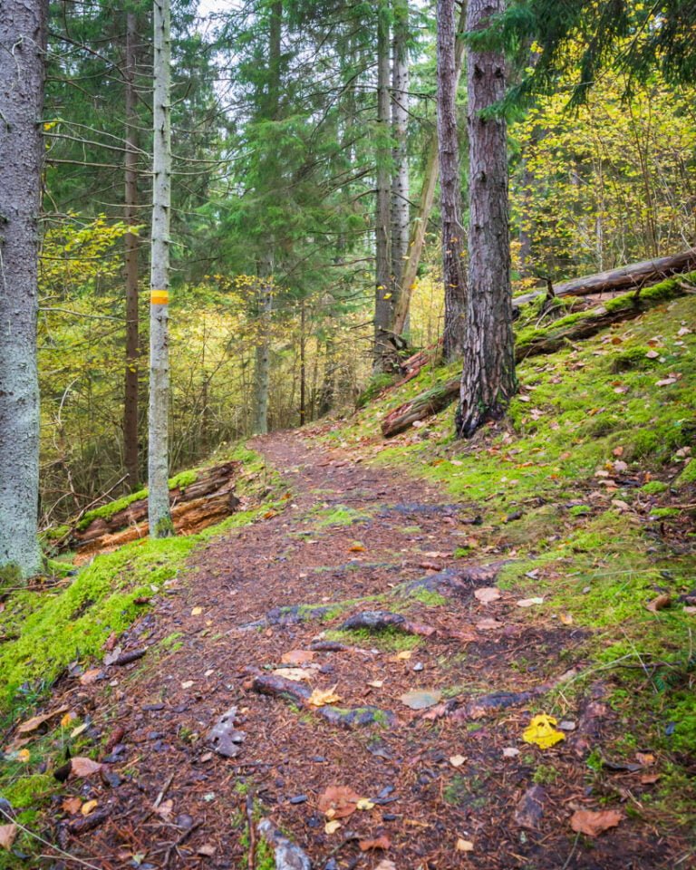 Håleberget gula rundslingan