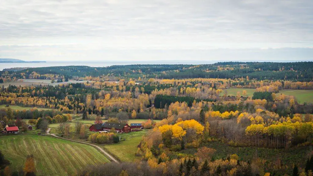 Utsikten från Håleberget under hösten med gröna fält och barrträd i kontrast med gula lövträd.