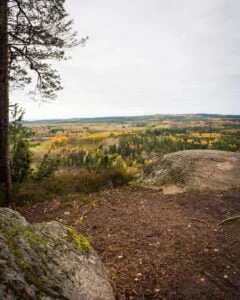 Utsikt från Håleberget i höstfärger över Östergötlands skogslandskap med mossbeklädda klippor i förgrunden