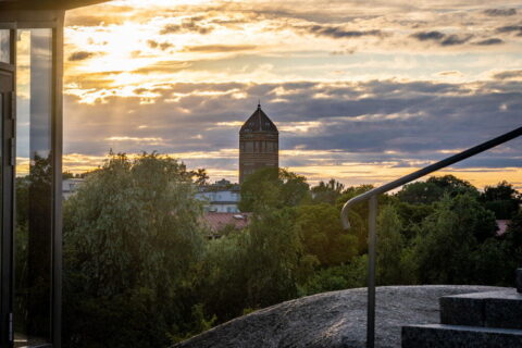 Utsikt från Belvederen i Trädgårdsföreningen över Linköping med vattentornet i solnedgång och frodig grönska