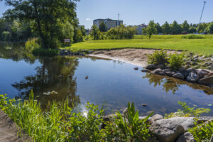 Lugn badlagun vid Johannelundsbadet i Linköping med en and på vattnet, sandstrand och gröna gräsytor under sommarblå himmel.