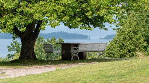 Parkbänkar under ett lummigt träd vid Övralid med utsikt över Vättern och skogklädda öar i sommargrönska