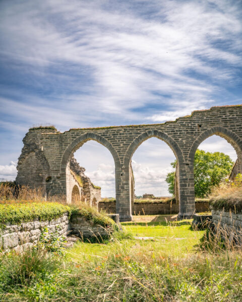 Medeltida spetsbågar i Alvastra klosterruin omgivna av grönt gräs och vild vegetation under en dramatisk sommarhimmel