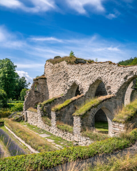 Alvastra klosterruin med välbevarade stenbågar och valv omgivna av grönska under blå himmel, Ödeshögs kommun i Östergötland
