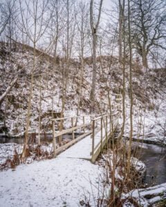 Snötäckt träbro över ett vattendrag i Stjärnorpsravinen, omgiven av kala lövträd och snöklädda sluttningar i vinterlandskap.