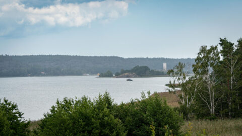 Utsikt från Skällviks fornborg över Slätbaken mot Stegeborgs slottsruin en sommardag, med grönska i förgrunden och en båt på vattnet