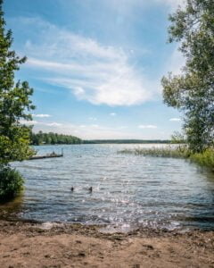Solig sommardag vid en sjö nära Borensberg med sandstrand, brygga, simande änder och lummig grönska under blå himmel.