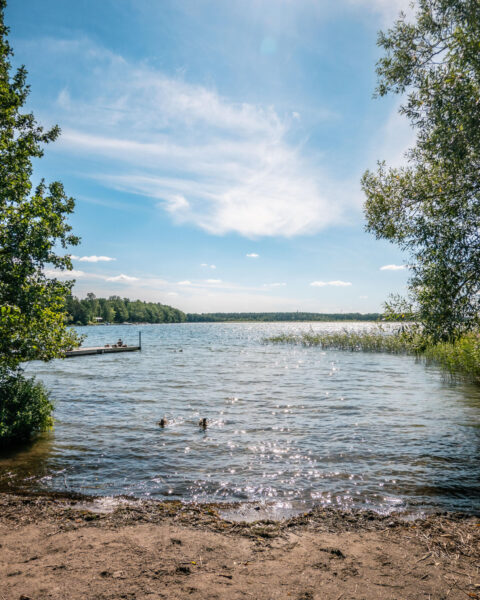 Solig sommardag vid en sjö nära Borensberg med sandstrand, brygga, simande änder och lummig grönska under blå himmel.
