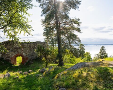 Ruinen av Åls stenhus, en medeltida borg, omgiven av grönska och tallar på en kulle med utsikt över sjön Roxen i Östergötland