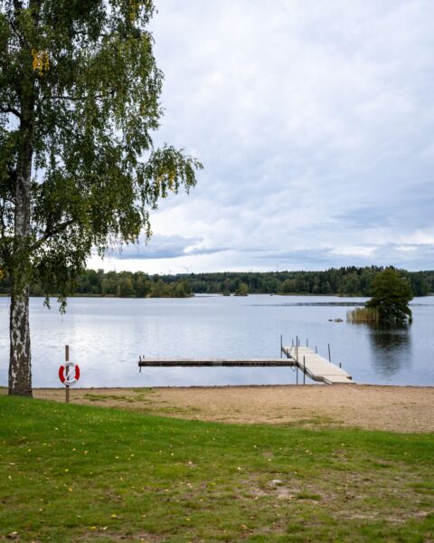 Sandstrand med brygga vid Småängsbadet i Motala, med livboj, björk och utsikt över en stilla sjö omgiven av skog.