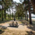 Grillplats med picknickbord under höga tallar vid Varamobadets sandstrand i Motala, Östergötland