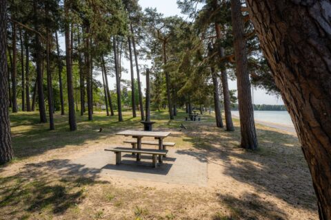 Grillplats med picknickbord under höga tallar vid Varamobadets sandstrand i Motala, Östergötland