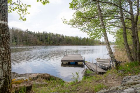 Badbrygga med stege och förtöjd båt vid en stilla sjö i Limmernskogarna, omgiven av björkar och barrskog på våren.