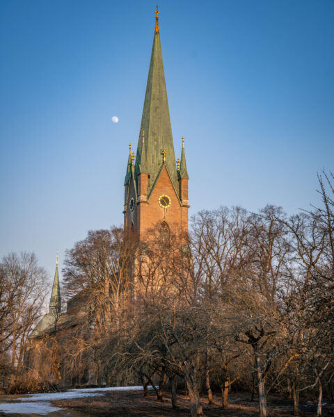Linköpings domkyrkas höga spira i tegel med grön kopparspets mot klarblå vinterhimmel, med månen synlig och kala träd i förgrunden.