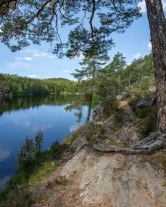 Jursla gammelskog rundslinga