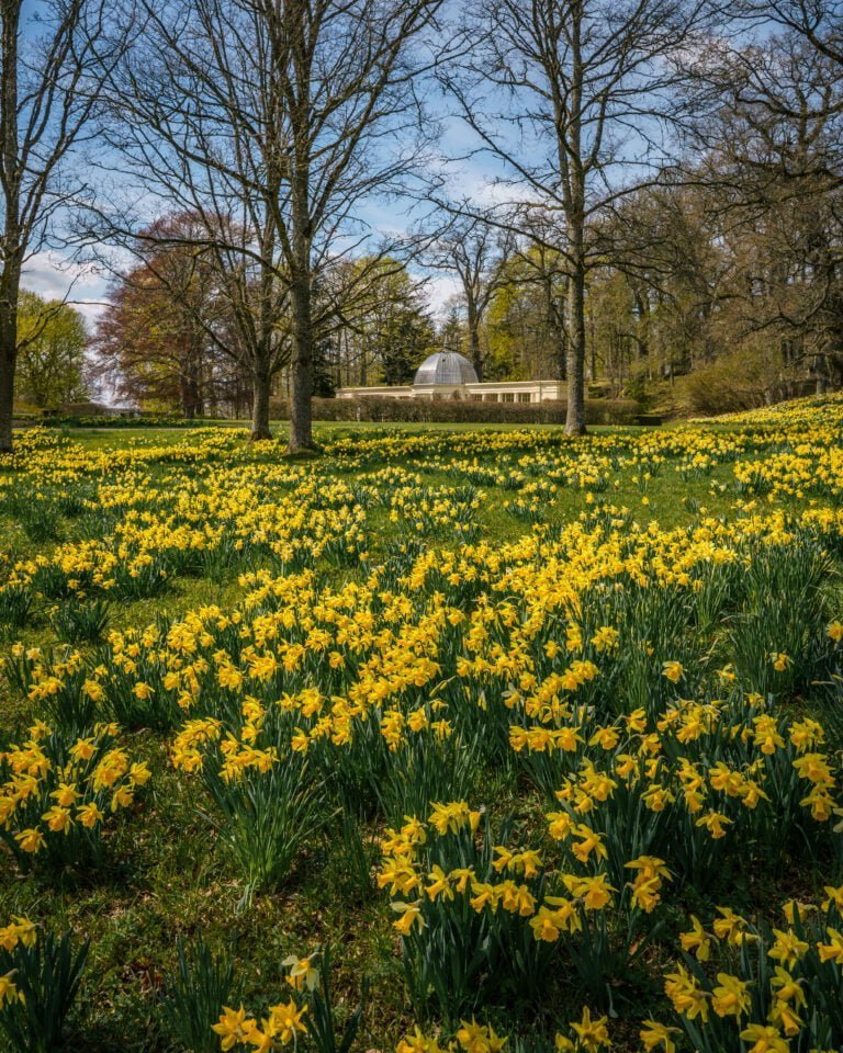 Adelsnäs parkrunda