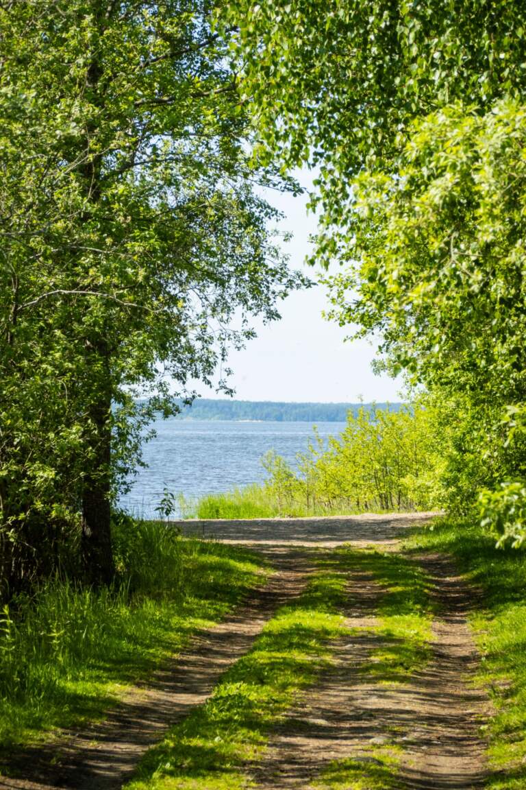 Gräsbevuxen stig kantad av lummiga björkar som leder ner mot vattnet vid Tingsbrötsbadet i Norrköpings kommun en solig sommardag.