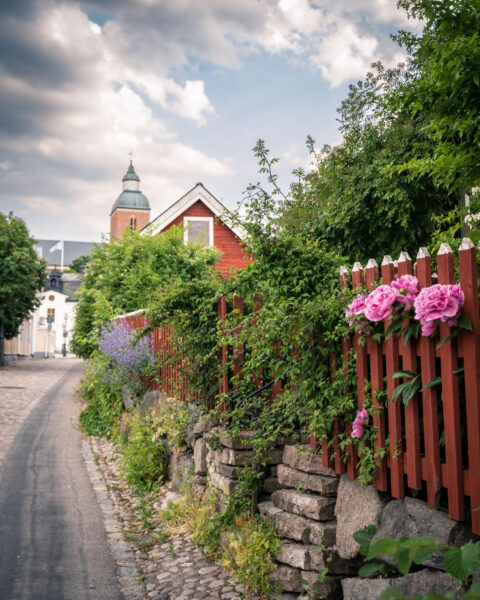 Idyllisk kullerstensgata i Gamla Skänninge med röda staket, rosa pioner, frodig grönska och kyrktorn i bakgrunden en sommardag