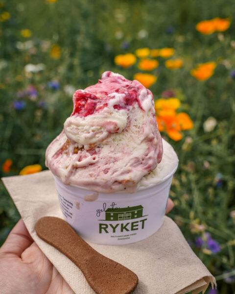 Hand som håller en bägare gelato från Rykets gård i Ödeshög, med bärsås i vaniljglass och en pepparkaka, framför en färgglad blomsteräng.