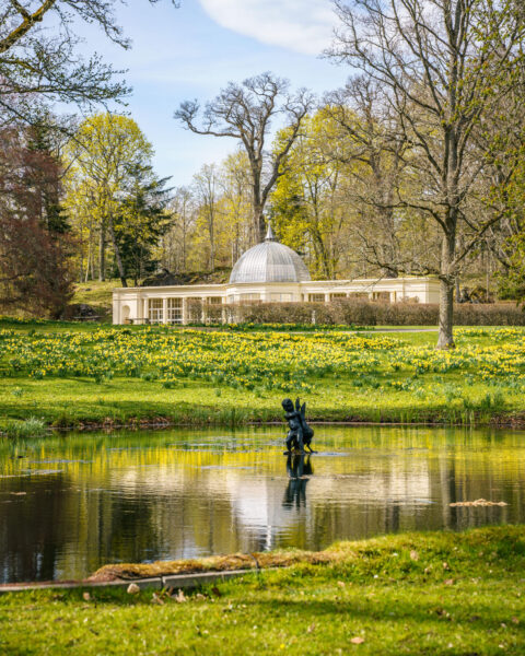 Vårblommande park vid Adelsnäs herrgård med damm, bronsskulptur, gula påskliljor och kupolkrönt paviljong omgiven av lövträd.