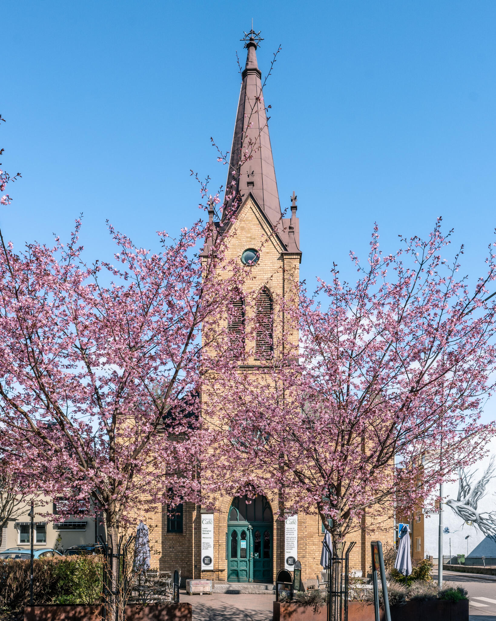 Emanuelskyrkan från 1892 i Linköping, nu Stadsmissionens café, omgiven av rosa körsbärsblom under klarblå himmel