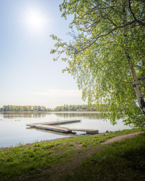 Badbrygga vid Notholmen i Stegeborg, med spegelblank sjö, grön björk och soligt vårlandskap i Östergötland