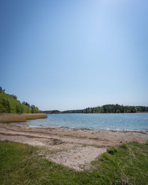 Sandstrand vid Sandens badplats i Sankt Anna skärgård med glittrande vatten, vass och skogsklädd kust under klarblå himmel