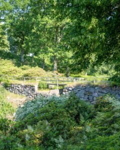 Rhododendrondalen i Stjärnorp (Kolfall)