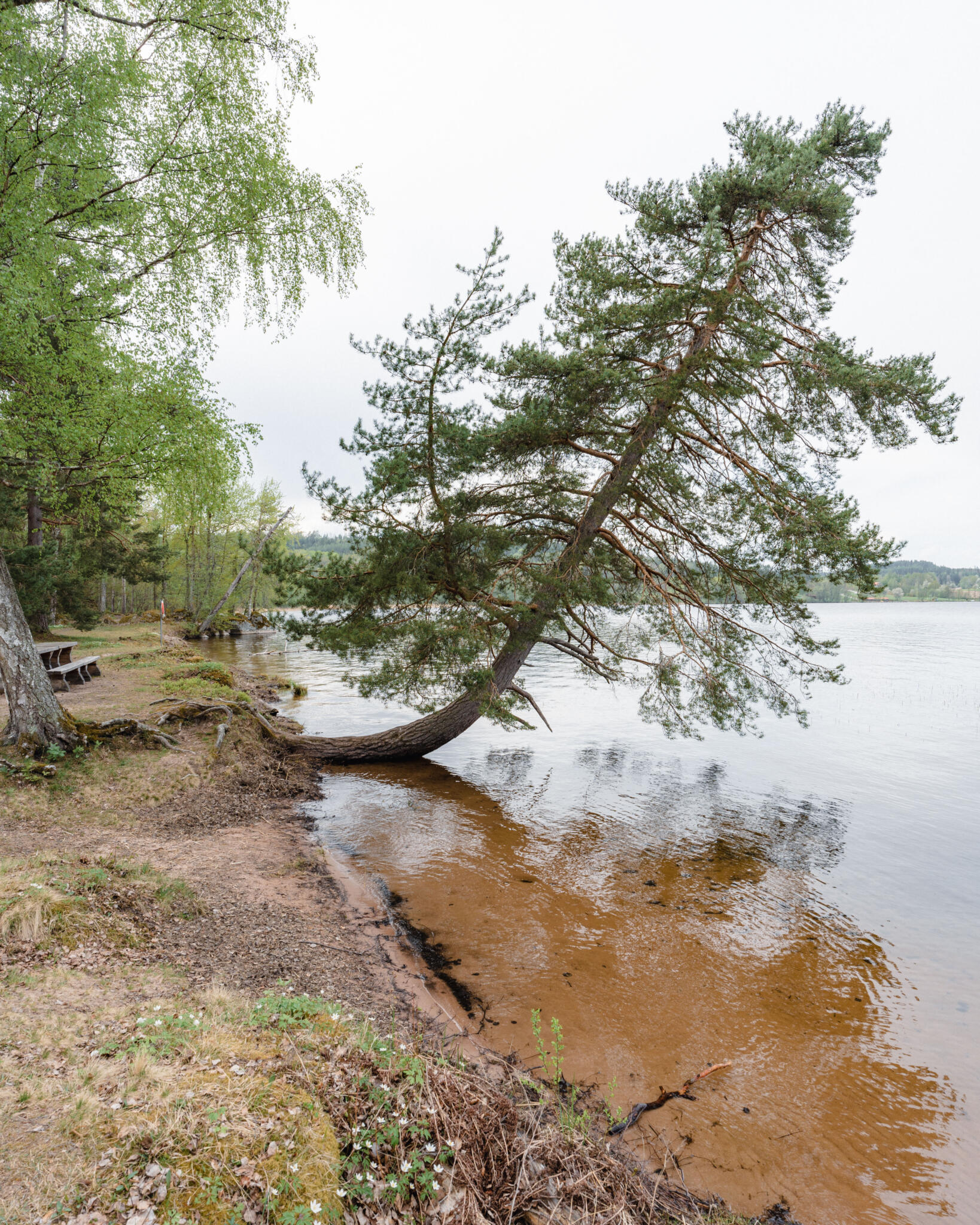 Hallstadrundan stg taleden Utflyktsportalen Tadigut nu