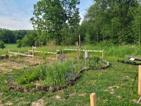 Ängsträdgården utanför Mantorp med upphöjda odlingsbäddar och perenner till självplock, omgivna av gröna ängar och lövträd en sommarkväll.