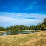 Månsjöns badplats med bryggor och hopptorn omgiven av torrängsgräs och tallskog i sommarväder, Väderkvarnsbacken, Mjölby