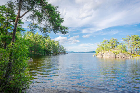 Stilla vatten i Lomsviken vid Torpöns naturreservat i Ydre, med klippor, tallar och gröna lövträd längs stranden under sommarhimmel.