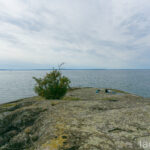 Slät badklippa vid Vätterns strand utanför Hästholmen med ett ensamt träd, personer som solar och vid horisont skymtar öar