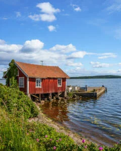 Röd sjöbod på pålar vid vattenbrynet i Kvarsebo, med brygga, frodig grönska och rosa vildrosor en sommardag i Östergötland.