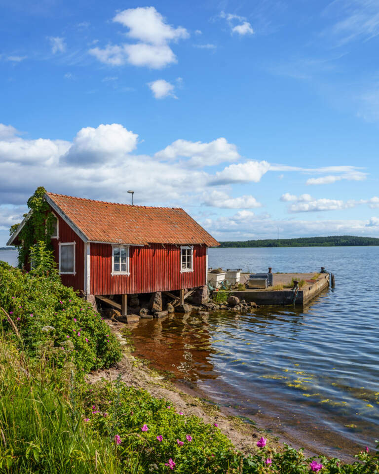 Röd sjöbod på pålar vid vattenbrynet i Kvarsebo, med brygga, frodig grönska och rosa vildrosor en sommardag i Östergötland.