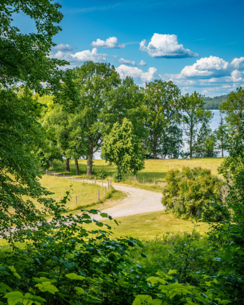 Slingrande grusväg genom Baldersnäs engelska park med lummiga lövträd, gröna beteshagar och en sjö i bakgrunden, Dalsland