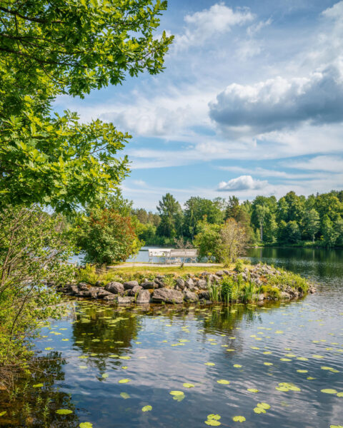 Vit parkbänk på Parasollholmarna vid Baldersnäs, omgiven av grönska, stenar och näckrosblad i stilla vatten en sommardag