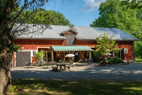 Café Allé vid Baldersnäs i Dalsland, ett sommarcafé inrymt i en faluröd lada med uteservering, markiser och parasoll en solig dag.