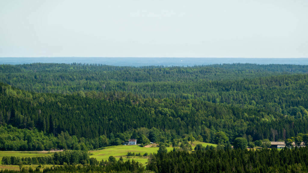 Panoramautsikt från Linheden över Dalslands skogslandskap med gröna barr- och lövträd, en ensam gård och Vänern i horisonten.