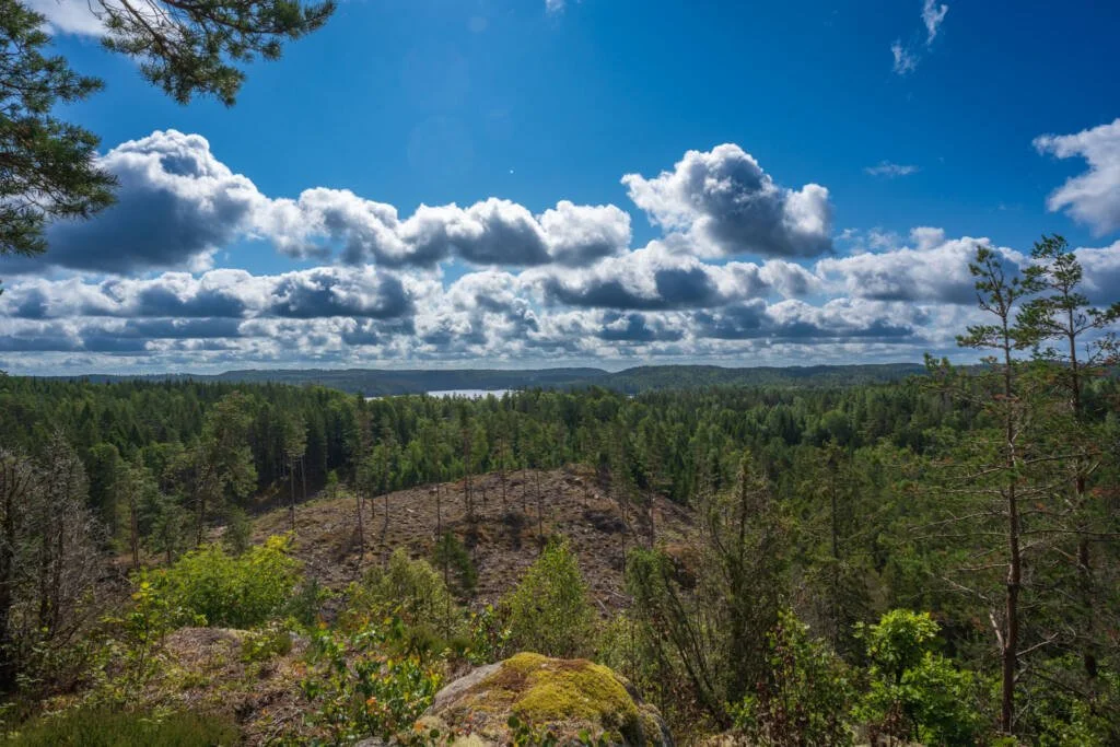 Utsikt från Borråsbergets fornborg i Färgelanda med vidsträckt barrskog, kala berghällar och en sjö i horisonten under dramatisk molnhimmel
