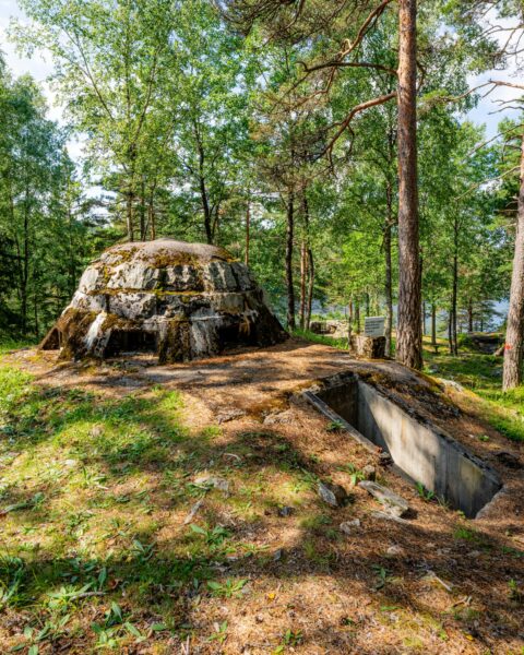 Betongbunker vid Skans 460 A Parsetjärn i Dals-Ed, ett välbevarat försvarsverk från 1940, omgivet av tallskog och grönska
