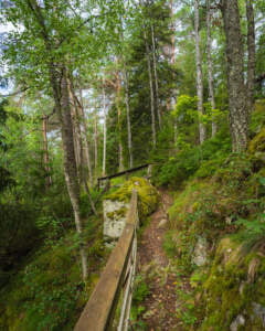 Smal skogsstig med träräcke längs branten vid Kärleksstigen nära Bäckefors bruk i Dalsland, omgiven av mossiga stenar och grön skog