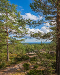 Utsikt från Baljåsen, Dalslands högsta punkt, med rastbänk bland tallar och vidsträckt skogslandskap under blå himmel
