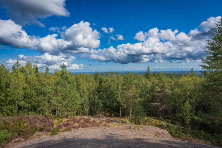Panoramautsikt från Baljåsen, Dalslands högsta punkt, med vidsträckt barrskog, berghäll i förgrunden och dramatisk molnhimmel.