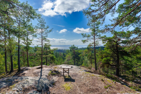 Utsiktsplats vid Getåravinen med bänk på en bergshäll omgiven av tallar och utsikt över Bråviken en solig dag