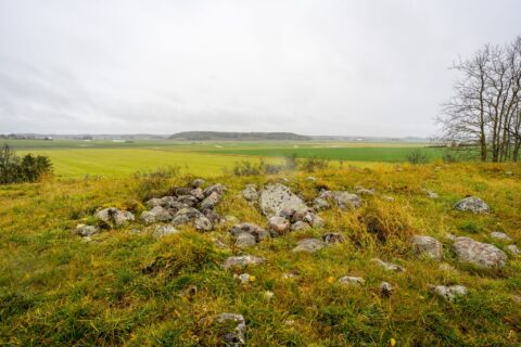 Stensättning vid Skambyns gravfält med utsikt över gröna jordbruksfält i Östergötland en mulen höstdag